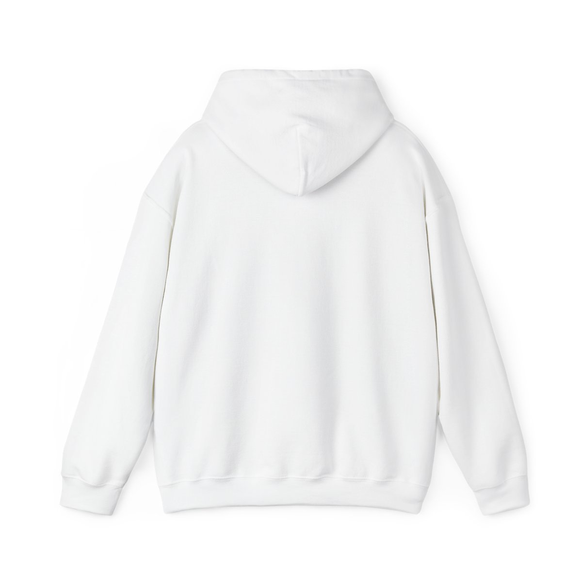 Bill Maher "Religion, Stupid!" Hoodie - alternate angle 1, merchandise